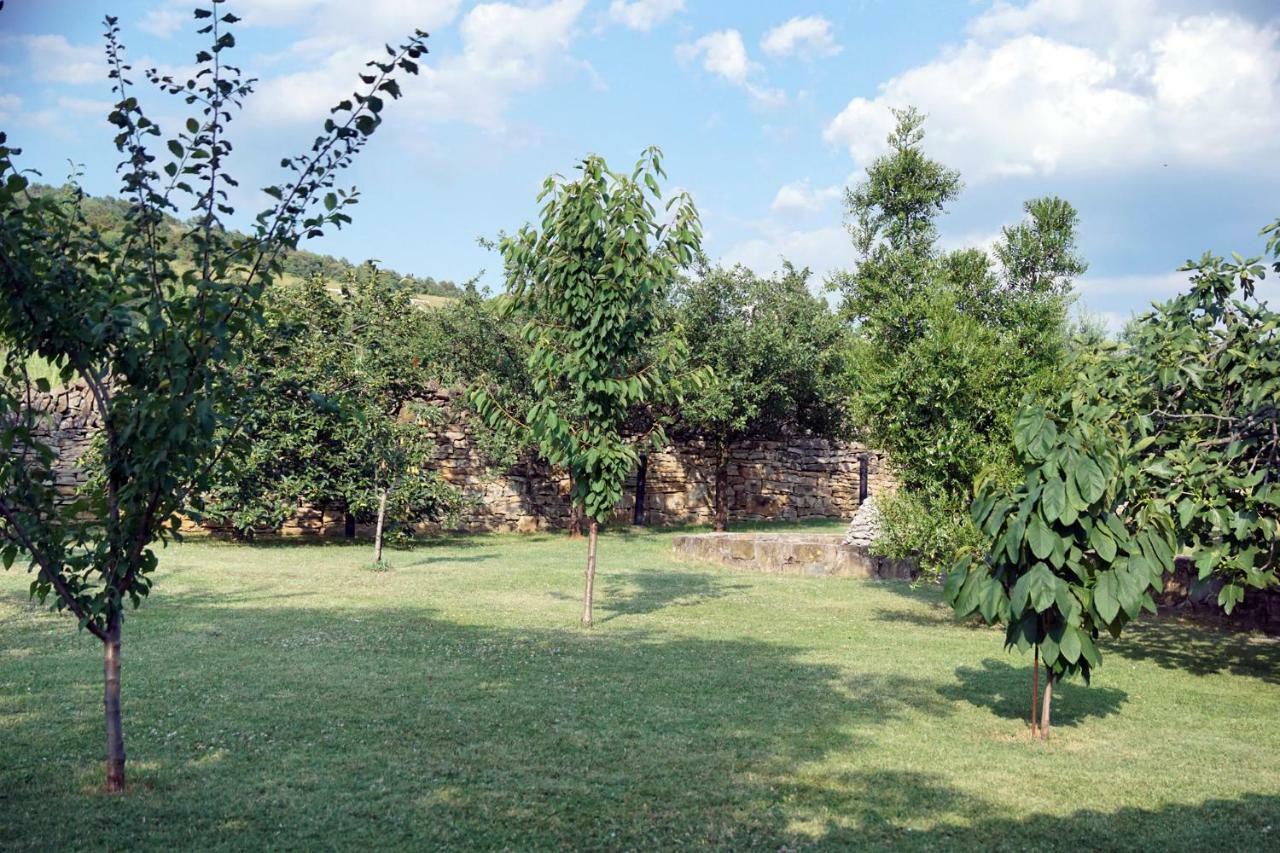Tourist Farm With Apartments Fig Tree Dekani 外观 照片