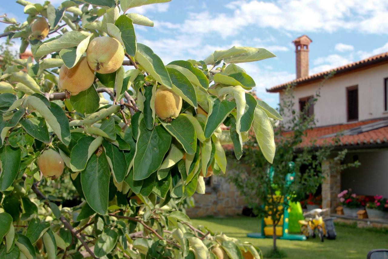 Tourist Farm With Apartments Fig Tree Dekani 外观 照片