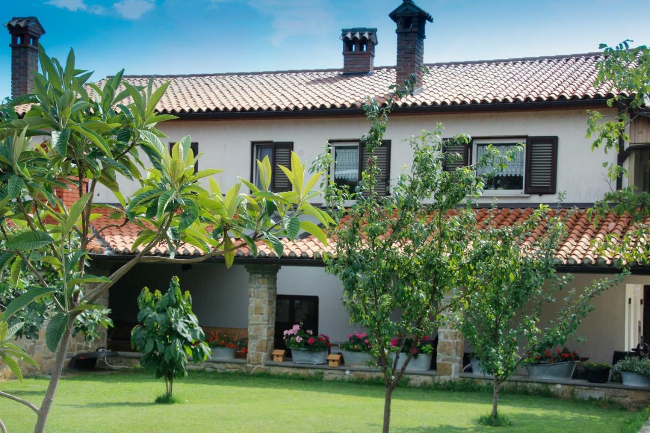 Tourist Farm With Apartments Fig Tree Dekani 外观 照片